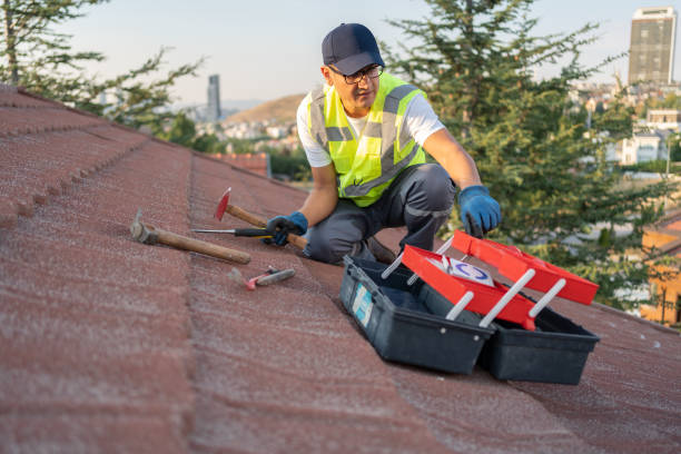 Best Demolition Debris Removal  in Ckam Housing, HI